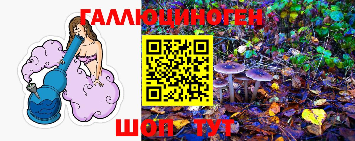 Псилоцибиновые грибы мухоморы Бердск