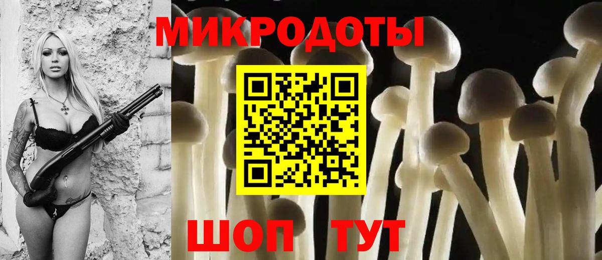 Псилоцибиновые грибы мицелий  Вход с VPN  Бердск 